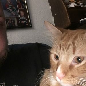 Meet your Posher, Avery